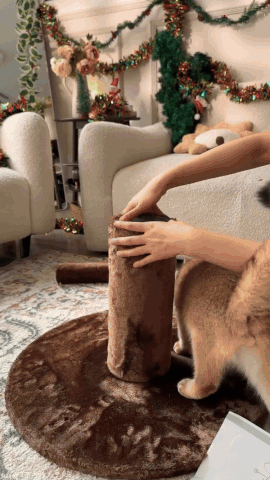 Cat Christmas Tree with Condos, Beds & Climbing Tower