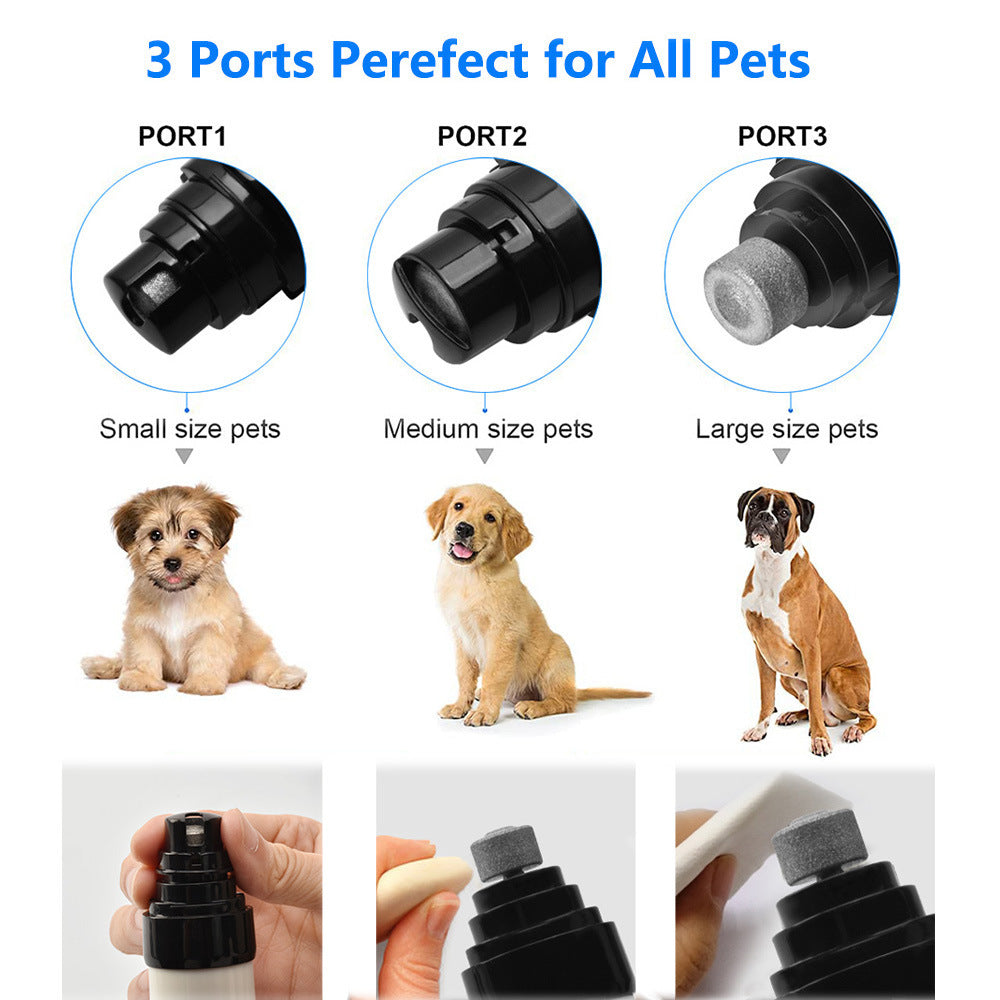 the best nail clippers for dogs, best cat nail grinder, best rated dog nail grinder, automatic cat nail trimmer, pet nail clippers for dogs, best quiet dog nail grinder, dog nail grinding near me, best electric dog nail trimmer, quiet dog nail trimmer, best dog nail grinder for black nails, best dog nail clippers for large dogs, cordless dog nail grinder, dog nail grinder for large dogs, dremel bit for dog nails, electric pet nail trimmer