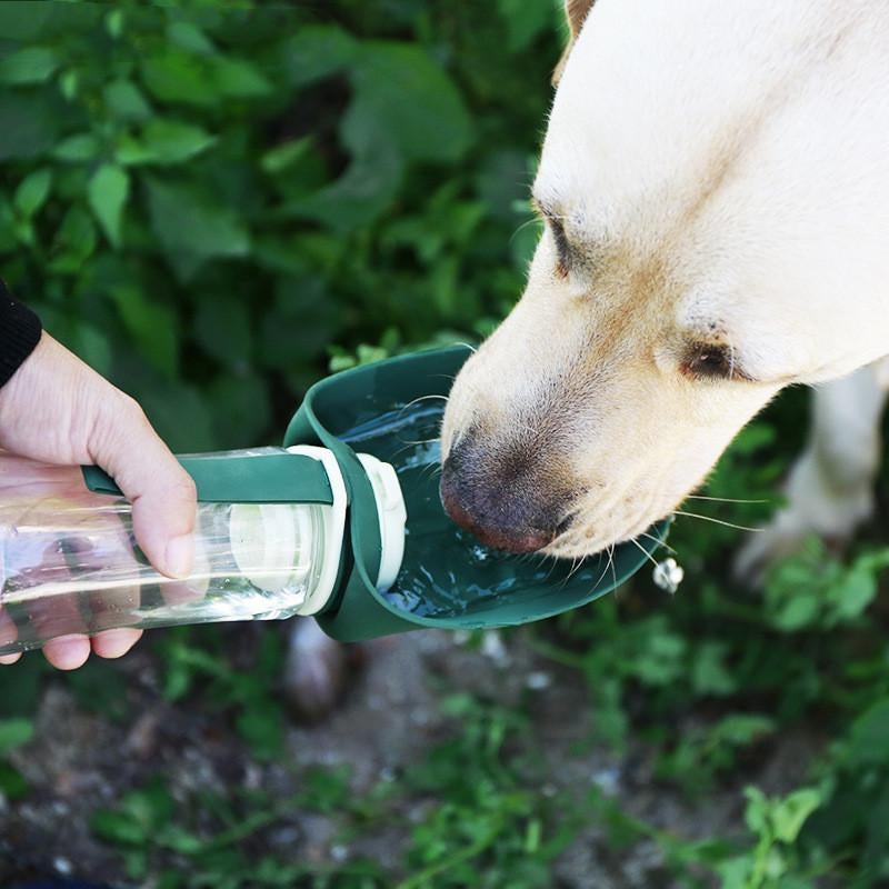 2-in-1 Portable Pet Dog Water Bottle & Foldable Silicone Food Bowl, Travel Dispenser for Puppies and Labradors, Convenient Outdoor Pet Supplies