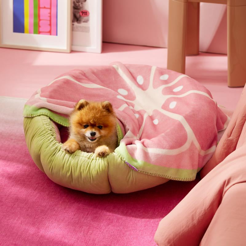 esure Calming Fruit Pattern Puppy Blanket – Soft & Cozy 350GSM Flannel Pet Throw for Small Dogs, Cute Round Blanket Gift for Puppies