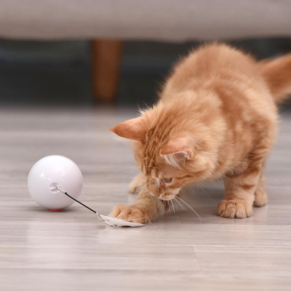 Rechargeable Auto-Rolling LED Light Cat Ball