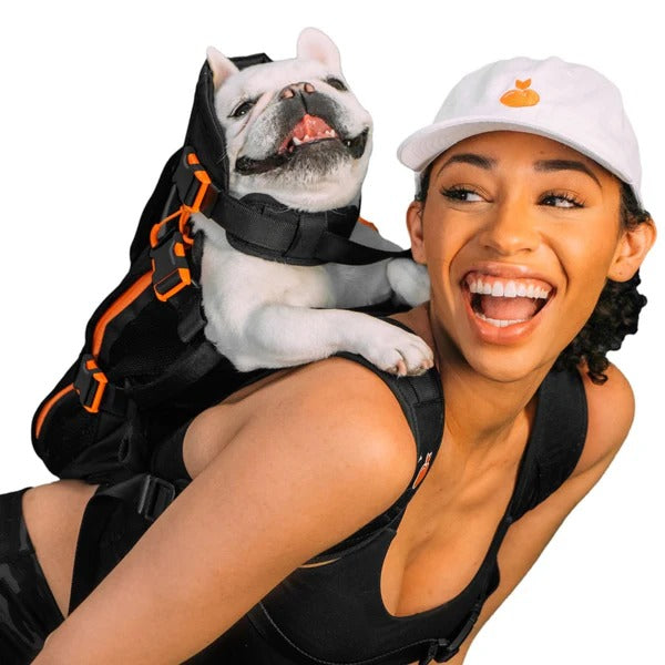 dog backpack, dog backpack carrier, dog rucksack, puppy backpack carrier, dog carrier rucksack, canine backpack, doggie back packs, dog backpack for dogs, bag for dog poop, backpack pet carrier for dogs, dog with backpack, backpacks with dogs, canine backpack carrier, dog in a rucksack, dog in rucksack, dog pet backpack carrier, dog with a backpack, dogs in backpack harness buddy, dog hiking backpack, puppy backpack, dog back pack