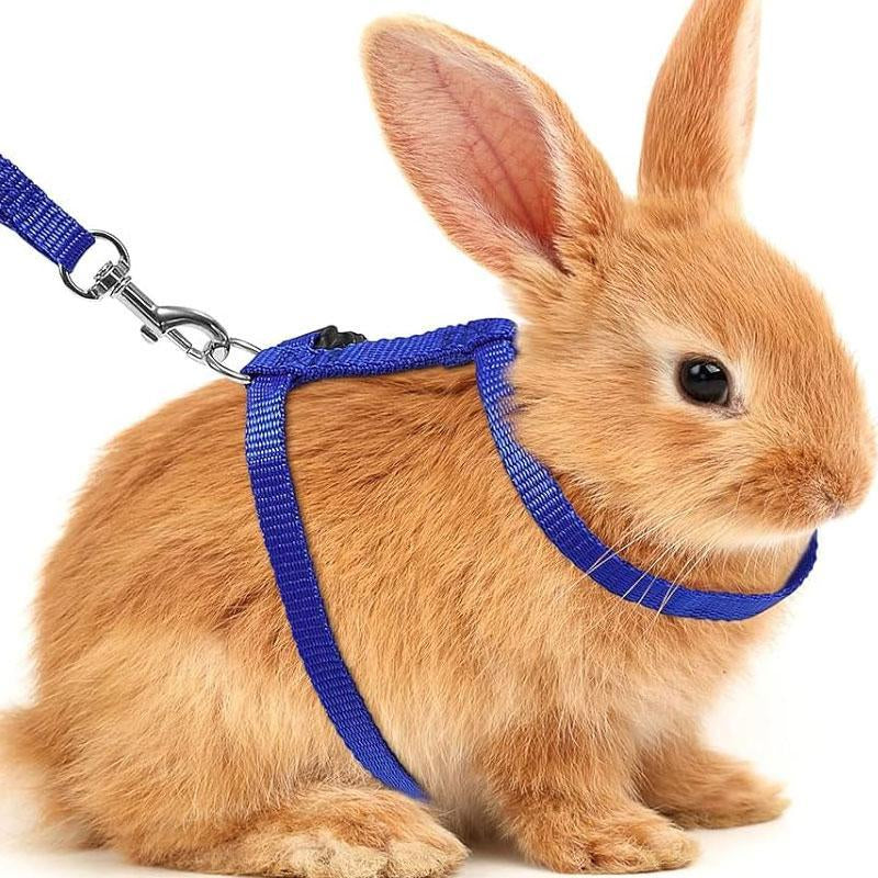 Escape-Proof Cat Harness with Leash – Adjustable Chest Strap for Secure and Comfortable Fit