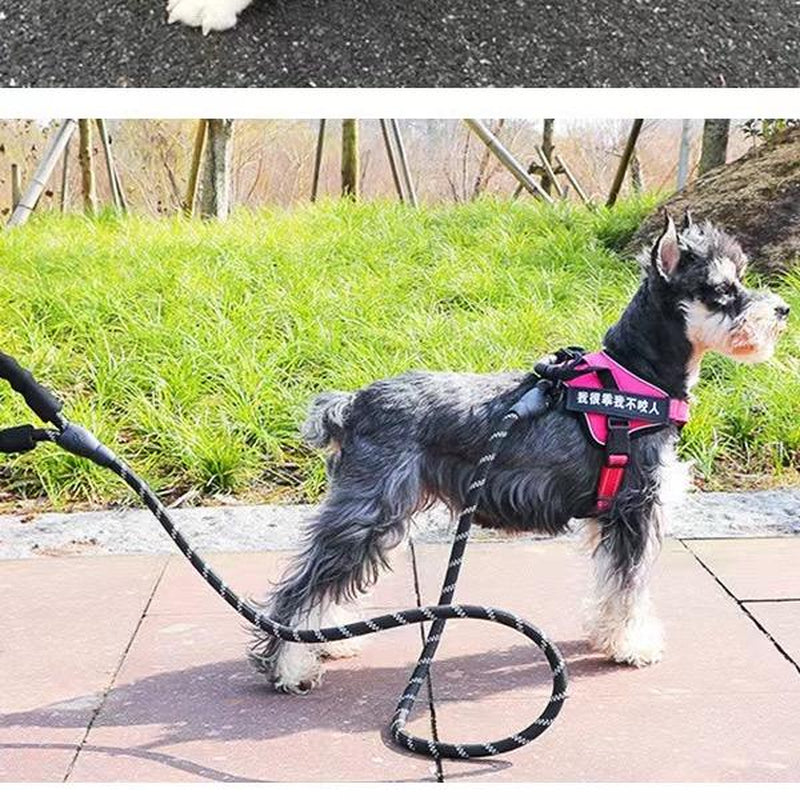 Washable 4ft Nylon Rope Leash for Large Dogs – Padded Handle, Reflective Threads, Tear-Resistant & Non-Slip Design