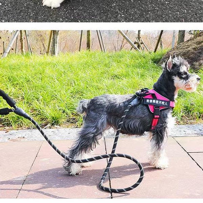 Washable 4ft Nylon Rope Leash for Large Dogs – Padded Handle, Reflective Threads, Tear-Resistant & Non-Slip Design