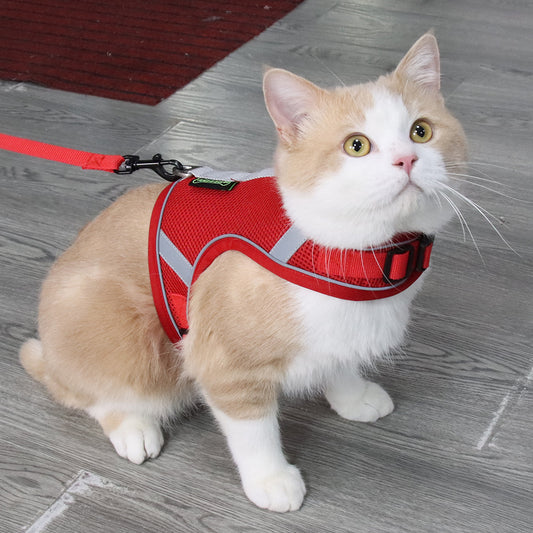 Reflective Mesh Pet Harness with Handheld Leash for Maximum Comfort