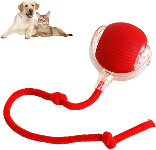 Pet Play Rolling Ball – 360° Interactive Smart Toy for Dogs & Cats with Automatic Movement