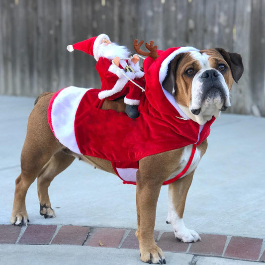 Festive Dog Christmas Clothes – Santa Claus Riding a Deer Costume