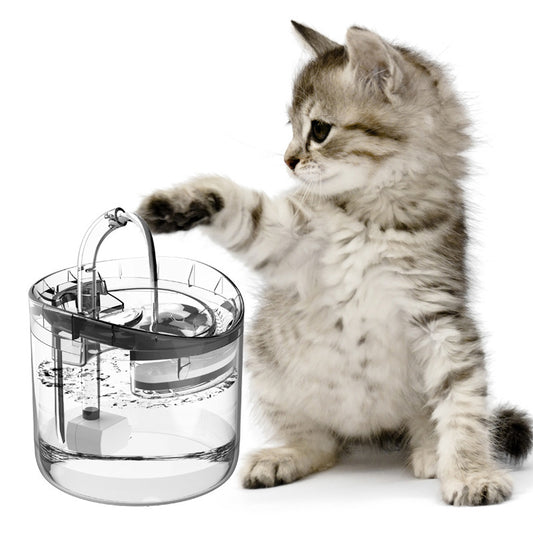 Pet Water Dispenser Automatic Circulation