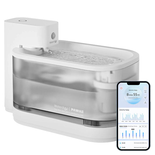 The Ultimate Pet Hydration Solution: Waterdrop Wireless Fountain Pro