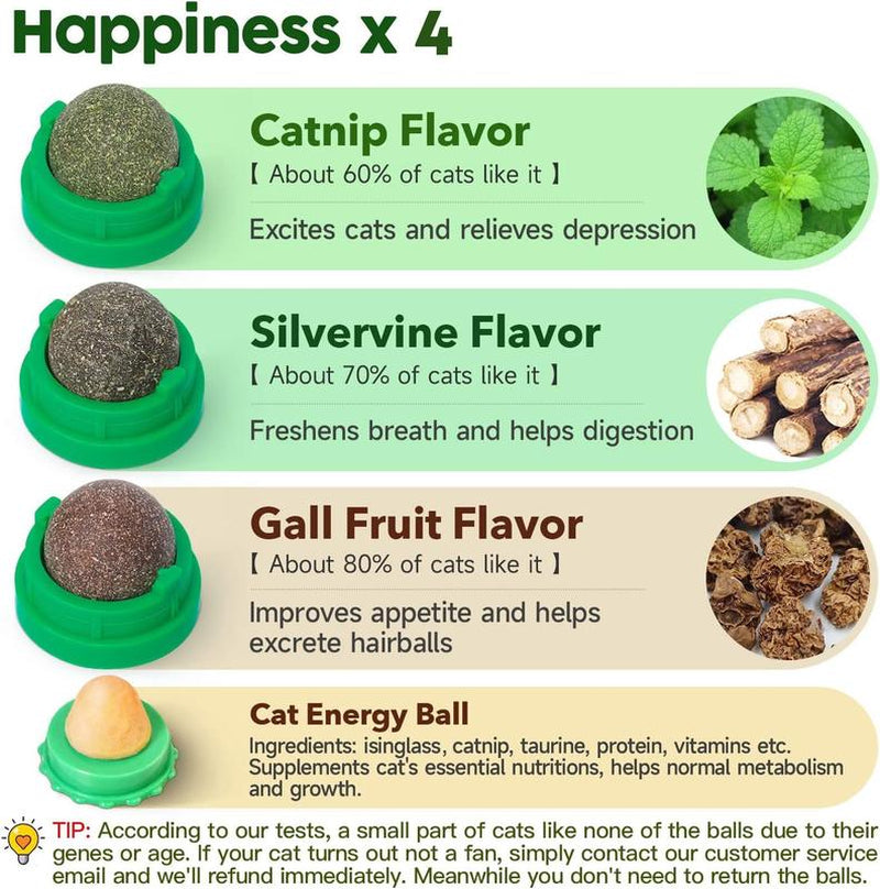 4-Pack Catnip & Silvervine Energy Balls – Edible Dental Chew Toys for Kittens, Teeth Cleaning & Healthy Play