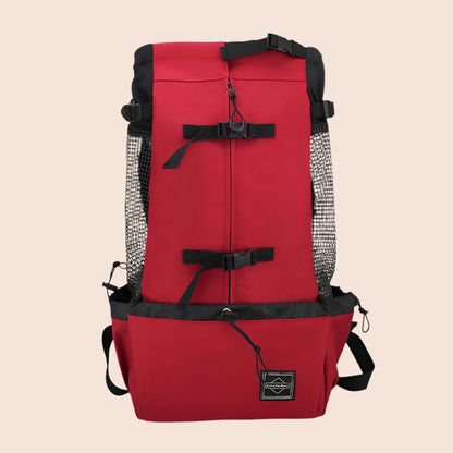 dog backpack, dog backpack carrier, dog rucksack, puppy backpack carrier, dog carrier rucksack, canine backpack, doggie back packs, dog backpack for dogs, bag for dog poop, backpack pet carrier for dogs, dog with backpack, backpacks with dogs, canine backpack carrier, dog in a rucksack, dog in rucksack, dog pet backpack carrier, dog with a backpack, dogs in backpack harness buddy, dog hiking backpack, puppy backpack, dog back pack