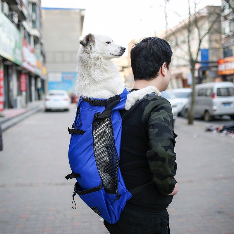 dog backpack, dog backpack carrier, dog rucksack, puppy backpack carrier, dog carrier rucksack, canine backpack, doggie back packs, dog backpack for dogs, bag for dog poop, backpack pet carrier for dogs, dog with backpack, backpacks with dogs, canine backpack carrier, dog in a rucksack, dog in rucksack, dog pet backpack carrier, dog with a backpack, dogs in backpack harness buddy, dog hiking backpack, puppy backpack, dog back pack