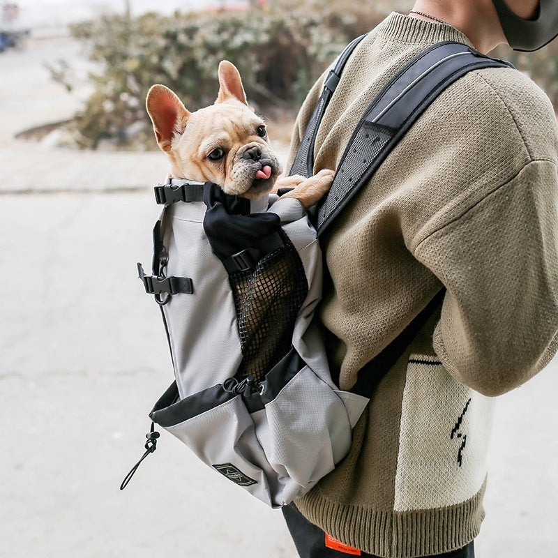 dog backpack, dog backpack carrier, dog rucksack, puppy backpack carrier, dog carrier rucksack, canine backpack, doggie back packs, dog backpack for dogs, bag for dog poop, backpack pet carrier for dogs, dog with backpack, backpacks with dogs, canine backpack carrier, dog in a rucksack, dog in rucksack, dog pet backpack carrier, dog with a backpack, dogs in backpack harness buddy, dog hiking backpack, puppy backpack, dog back pack