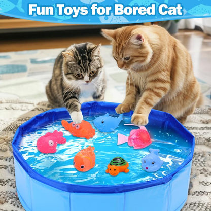 cat, cats, cat lover, cat toys, cat toy, playful paw, cat pool. cat pool with fish, fish toy for cat, cat floating in pool, cat playing pool, cat swimming in pool, best cat toys, interactive cat toys, kitten toys, best cat toys for bored cats, cat with pool, cat seeing fish at pool, cat playing with pool, fish toy for cat, blue color cat pool, electric fish fun, kitten pool, cat blue pool with fish, kitten blue pool with fish, portable cat pool, portable cat pool with fish, cat pool toy, best cat pool toy, 