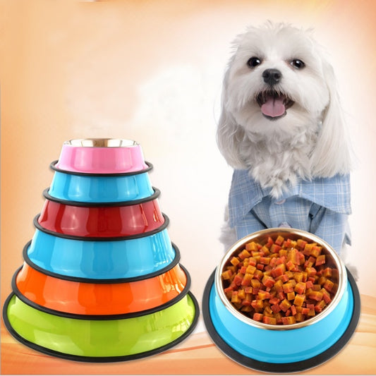 Stainless Steel Pet Bowl with Colorful Melamine Pot – Stylish & Practical Design