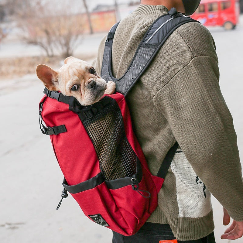 dog backpack, dog backpack carrier, dog rucksack, puppy backpack carrier, dog carrier rucksack, canine backpack, doggie back packs, dog backpack for dogs, bag for dog poop, backpack pet carrier for dogs, dog with backpack, backpacks with dogs, canine backpack carrier, dog in a rucksack, dog in rucksack, dog pet backpack carrier, dog with a backpack, dogs in backpack harness buddy, dog hiking backpack, puppy backpack, dog back pack