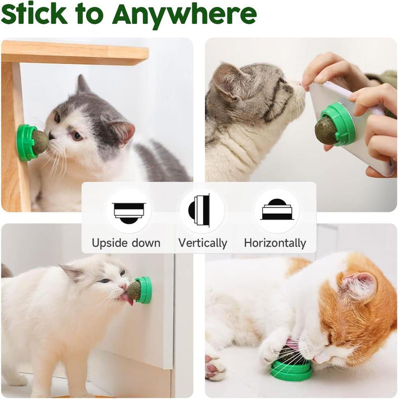 4-Pack Catnip & Silvervine Energy Balls – Edible Dental Chew Toys for Kittens, Teeth Cleaning & Healthy Play