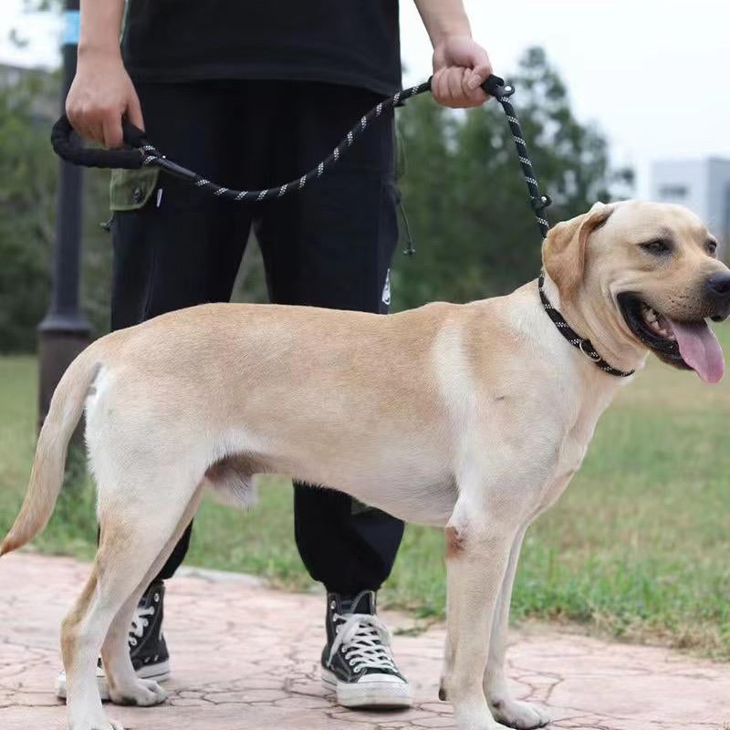 Washable 4ft Nylon Rope Leash for Large Dogs – Padded Handle, Reflective Threads, Tear-Resistant & Non-Slip Design