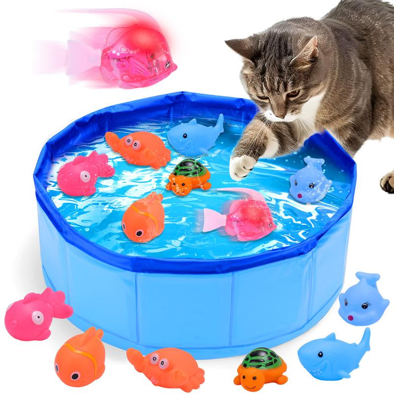 Mity Rain Interactive Cat Pool Toy with Fish, outdoor kitten pool, outdoor cat pool, kitten pool toy, kitten pool, indoor kitten pool
indoor cat pool, Cats, CAT TOY, cat pool with toys, cat pool with fish, cat pool toy with fish, cat pool toy near me, cat pool toy, cat pool for cat, cat pool, cat, blue cat pool, best kitten, pool, best cat pool toy, best cat pool, 
