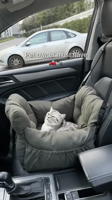 cat car seat carrier, cat car harness, cat car seat covers, backseat cat carrier, cat seat, cat seat for car, cat truck seat, cat car seat window, cat seat with belt, cat carrier with seat belt loop, kitty car seat, best cat car seat, best car seats for cats, cat car seat with harness, carrier for cats in car, car seat cat carrier, full back seat cat carrier, cat carrier seat belt, cat car seat with belt, car cat seat, car seat cat, car window perch, cat car seats, kitten car seat, cat back seat carrier, ca