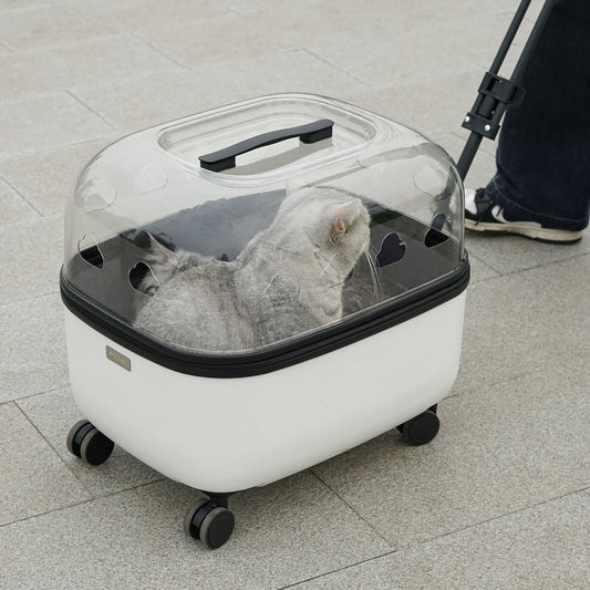 transparent buggy for dog, transparent stroller for pets, transparent stroller for dog, transparent stroller for cat, transparent cat stroller, dog stroller with rubber wheels, top rated pet strollers, transparent pet stroller, cat trolley transparent, pet trolley case transparent, pet trolley transparent, portable transparent pet trolley