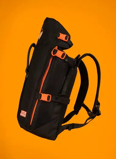 dog backpack, dog backpack carrier, dog rucksack, puppy backpack carrier, dog carrier rucksack, canine backpack, doggie back packs, dog backpack for dogs, bag for dog poop, backpack pet carrier for dogs, dog with backpack, backpacks with dogs, canine backpack carrier, dog in a rucksack, dog in rucksack, dog pet backpack carrier, dog with a backpack, dogs in backpack harness buddy, dog hiking backpack, puppy backpack, dog back pack