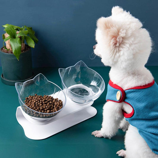 Delux Cat Dining Set: Elegant Inclined Bowl with Transparent Design for Comfortable Feeding