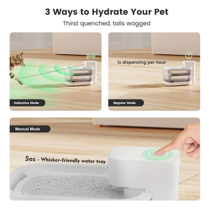 The Ultimate Pet Hydration Solution: Waterdrop Wireless Fountain Pro