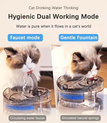 Pet Water Dispenser Automatic Circulation