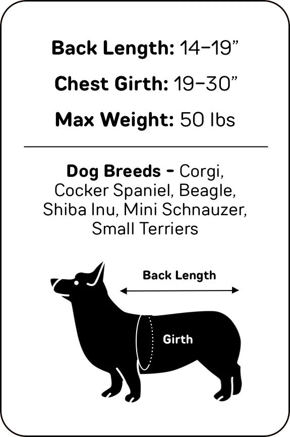 dog backpack, dog backpack carrier, dog rucksack, puppy backpack carrier, dog carrier rucksack, canine backpack, doggie back packs, dog backpack for dogs, bag for dog poop, backpack pet carrier for dogs, dog with backpack, backpacks with dogs, canine backpack carrier, dog in a rucksack, dog in rucksack, dog pet backpack carrier, dog with a backpack, dogs in backpack harness buddy, dog hiking backpack, puppy backpack, dog back pack