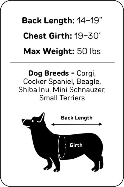 dog backpack, dog backpack carrier, dog rucksack, puppy backpack carrier, dog carrier rucksack, canine backpack, doggie back packs, dog backpack for dogs, bag for dog poop, backpack pet carrier for dogs, dog with backpack, backpacks with dogs, canine backpack carrier, dog in a rucksack, dog in rucksack, dog pet backpack carrier, dog with a backpack, dogs in backpack harness buddy, dog hiking backpack, puppy backpack, dog back pack