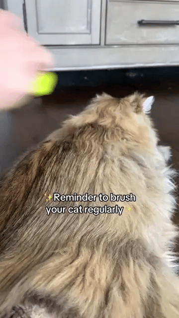 Pet Brush with Stainless Steel Pins – Grooming Tool for Dogs & Cats with Release Button