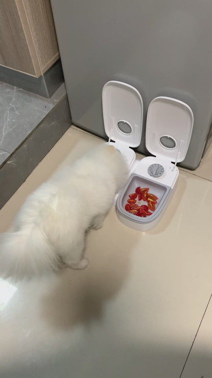 Automatic Smart Food Dispenser For Cats & Dogs